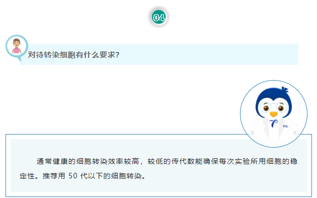 对待转染细胞有什么要求？通常健康的细胞转染效率较高，较低的传代数能确保每次实验所用细胞的稳定性。推荐用 50 代以下的细胞转染。
