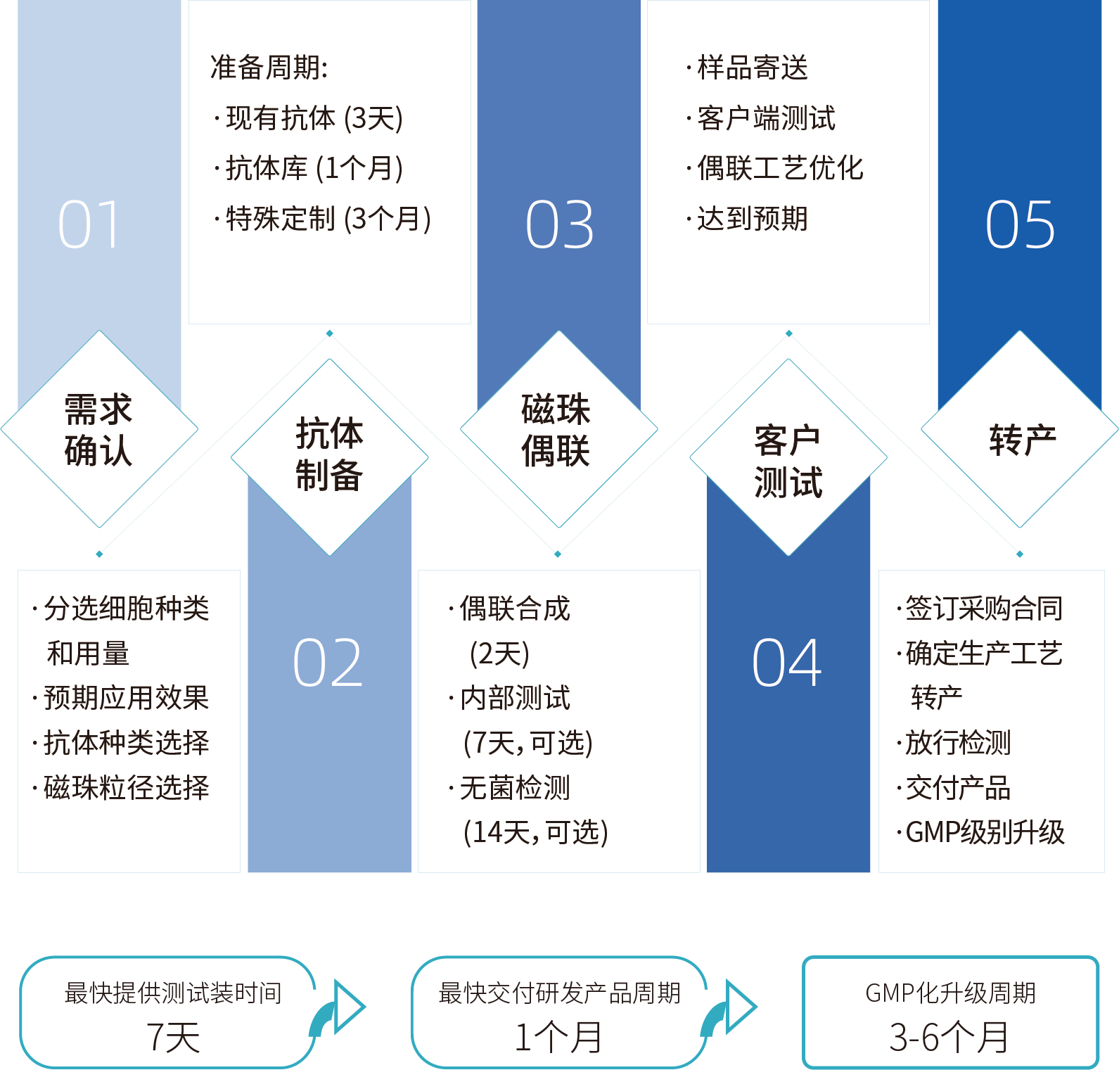 yl23455永利官网细胞分选激活磁珠/分选磁珠定制，定制流程