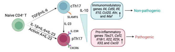 yl23455永利官网重组人TGF-β1蛋白