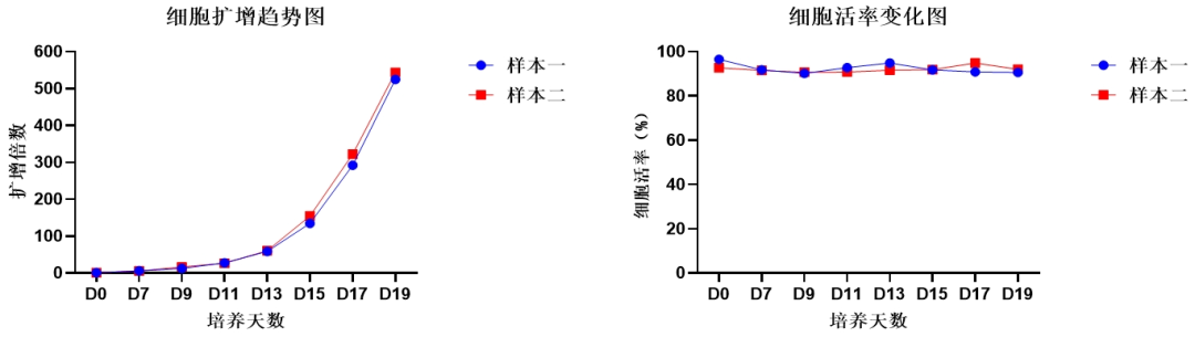 yl23455永利官网,NK试剂盒套装3.0,脐血NK细胞培养,NK细胞培养
