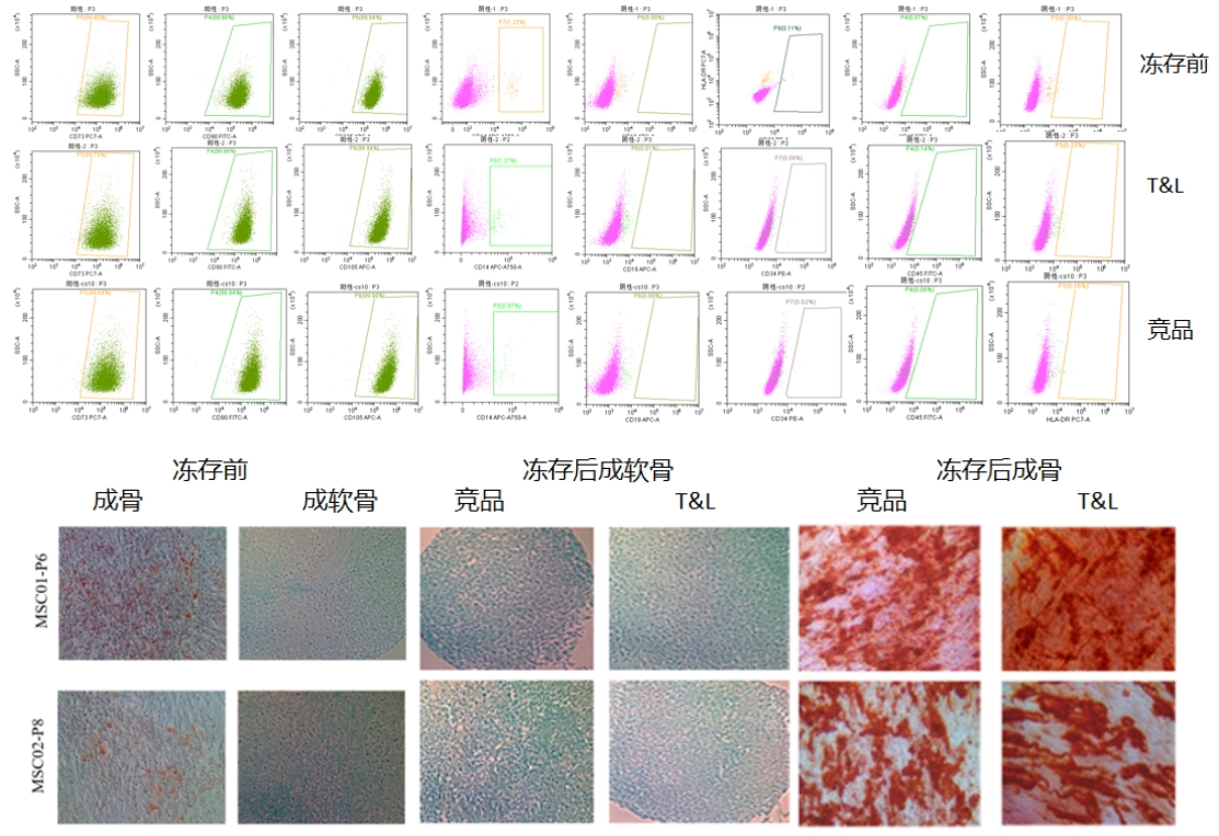 yl23455永利官网细胞保存液