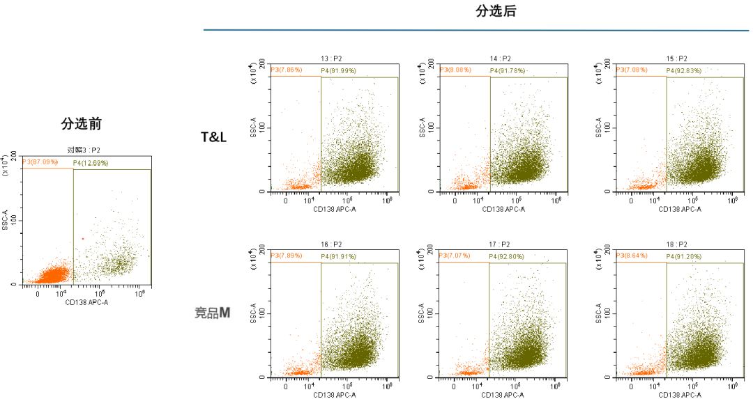 yl23455永利官网新品上市-MaxSortin™CD138分选磁珠