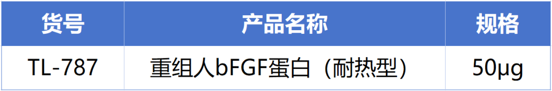yl23455永利官网新一代耐热型重组人bFGF蛋白正式发布！高温环境下的修复王者! 